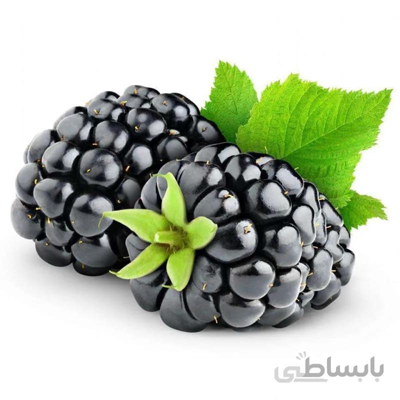 بذر بلک بری (گلدانی)