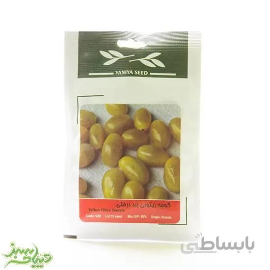 بذر گوجه زیتونی زرد درختی