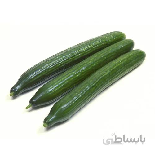 بذر خیار درختی رسمی