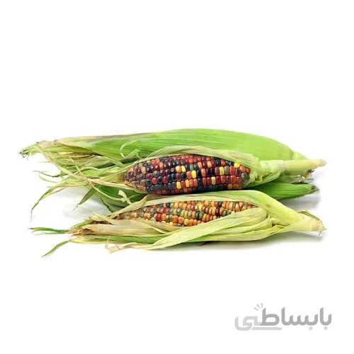 بذر ذرت رنگی میکس