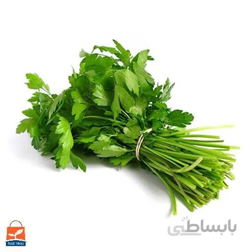 بذر گشنیز محلی