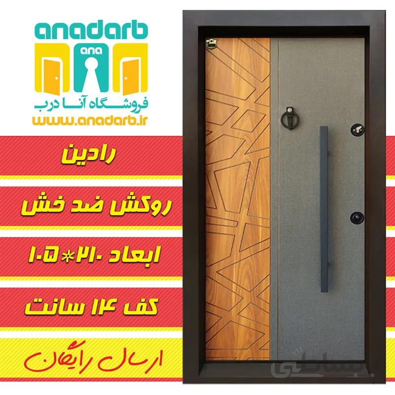 ضد سرقت رادین