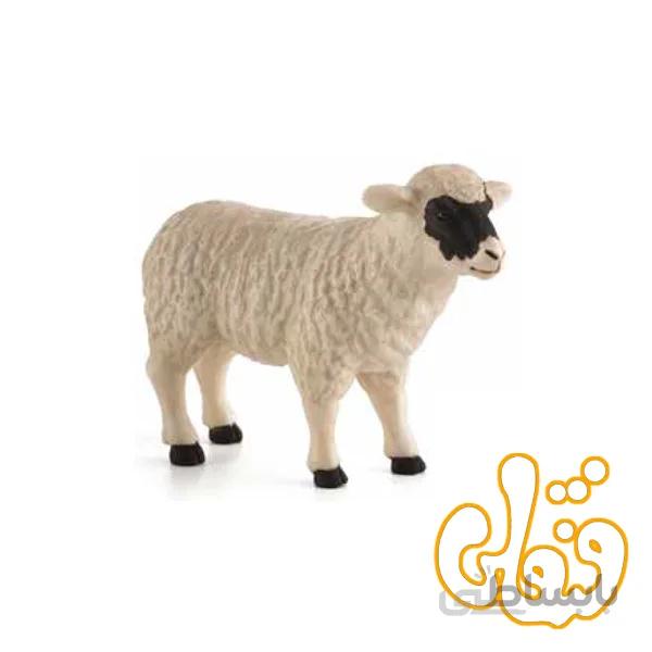 گوسفند صورت سیاه ماده Black Faced Sheep ewe 387058