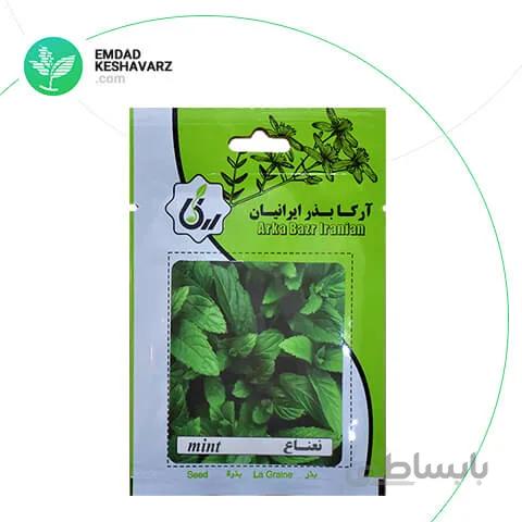 بذر نعناع آرکا بذر