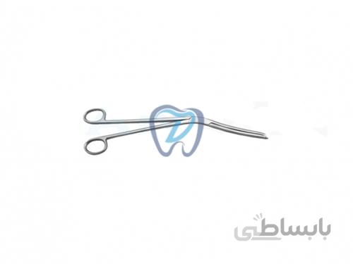 پنس چیتل – دنا پویا