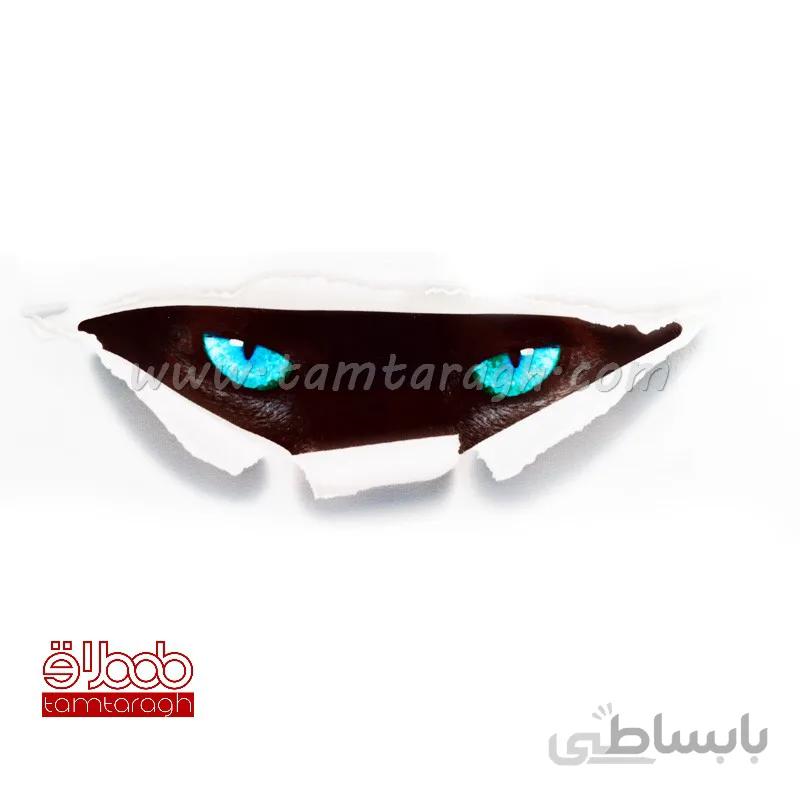 استیکر (برچسب) خودرو طرح چشم گربه