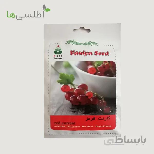 بذر کارنت (انگورفرنگی)