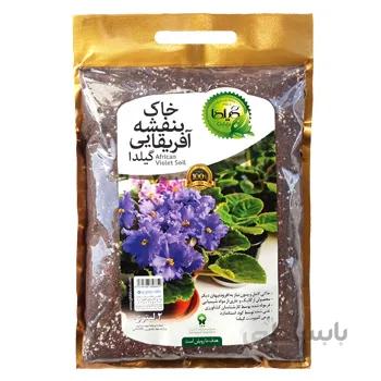 خاک بنفشه آفریقایی 2 لیتری گیلدا
