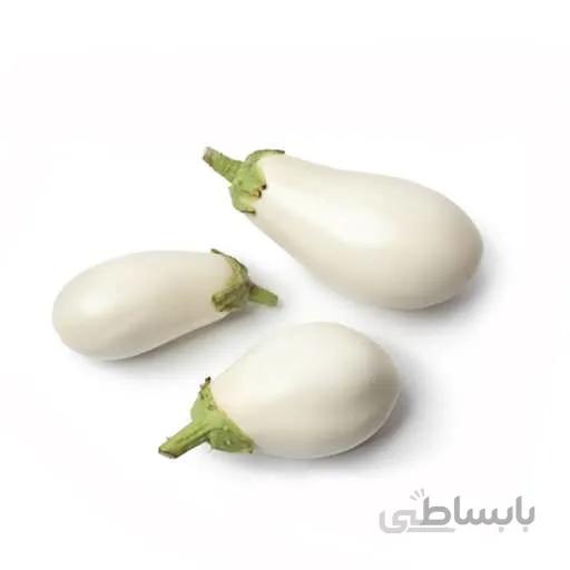 بذر بادمجان سفید گوست باستر