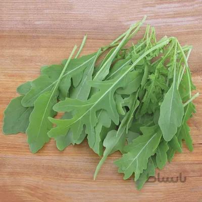 بذر راکولا سیلوتا بسته ۵۰ عددی