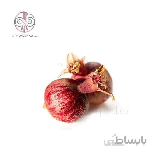 نهال انار پاكوتاه زينتی
