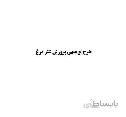 طرح توجيهي پرورش شتر مرغ 1385