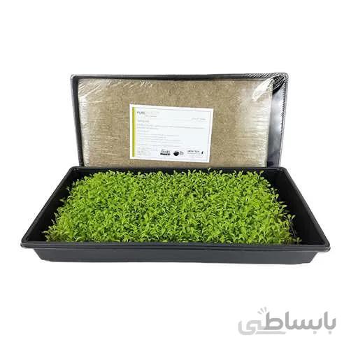 بذر میکرو گرین سیاهدانه
