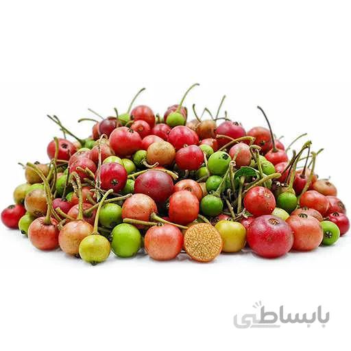 بذر درخت گیلاس جامائیکا