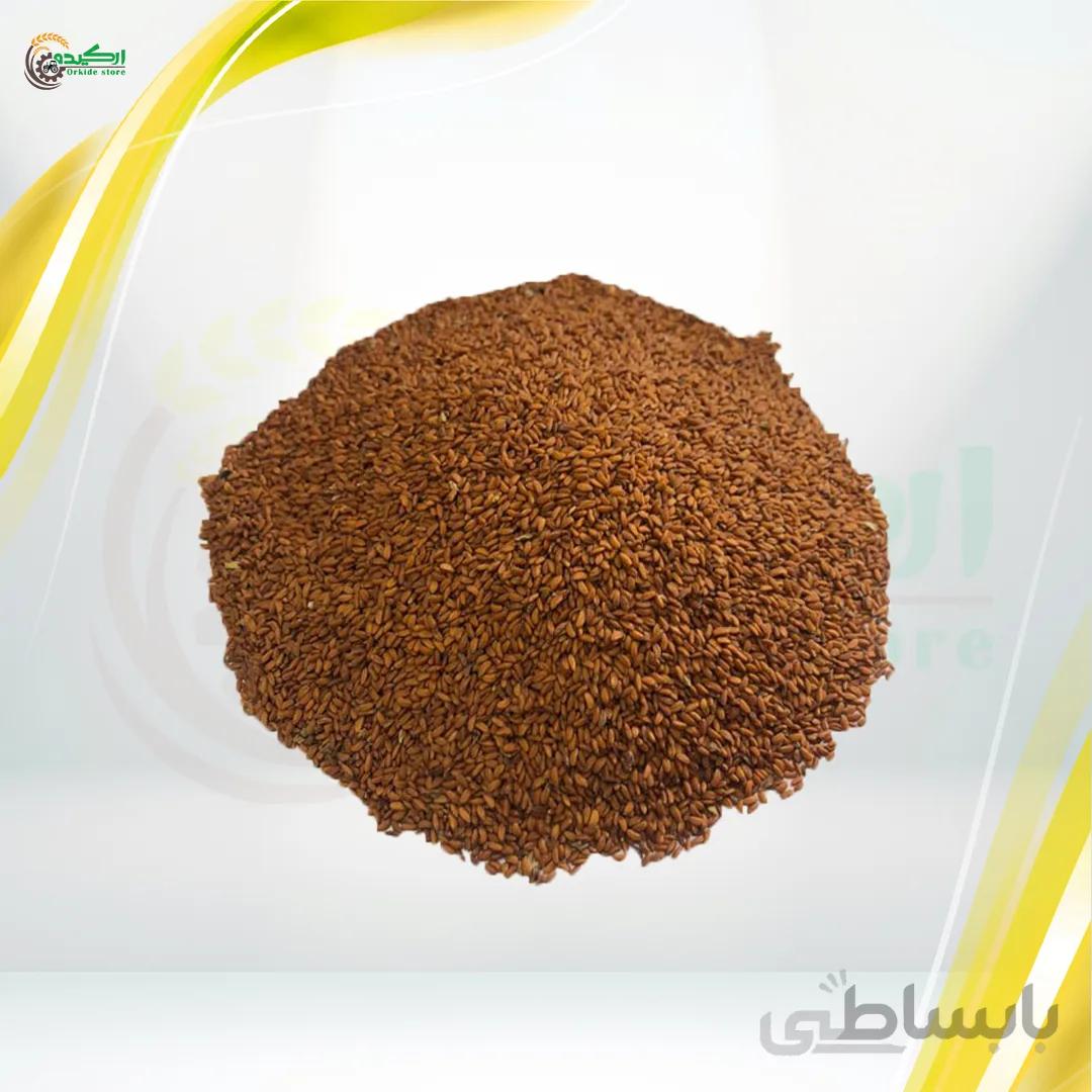 بذر شاهی