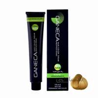 رنگ مو گانسا شماره 8.5 رنگ بلوند طلایی روشن ا GANECA Hair Color Cream Light Golden Blonde No:G8_8.5
