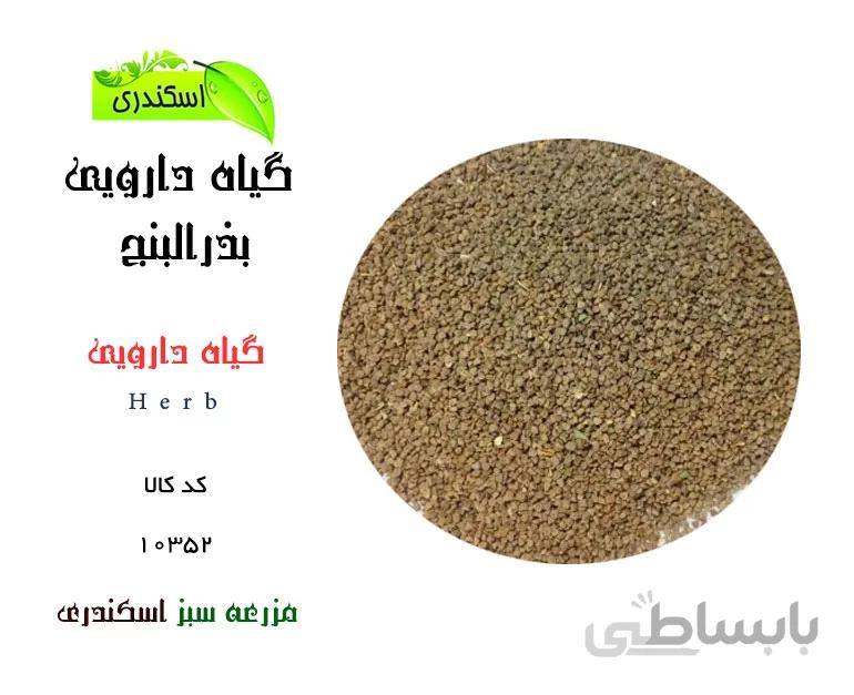 گیاه دارویی بذرالبنج