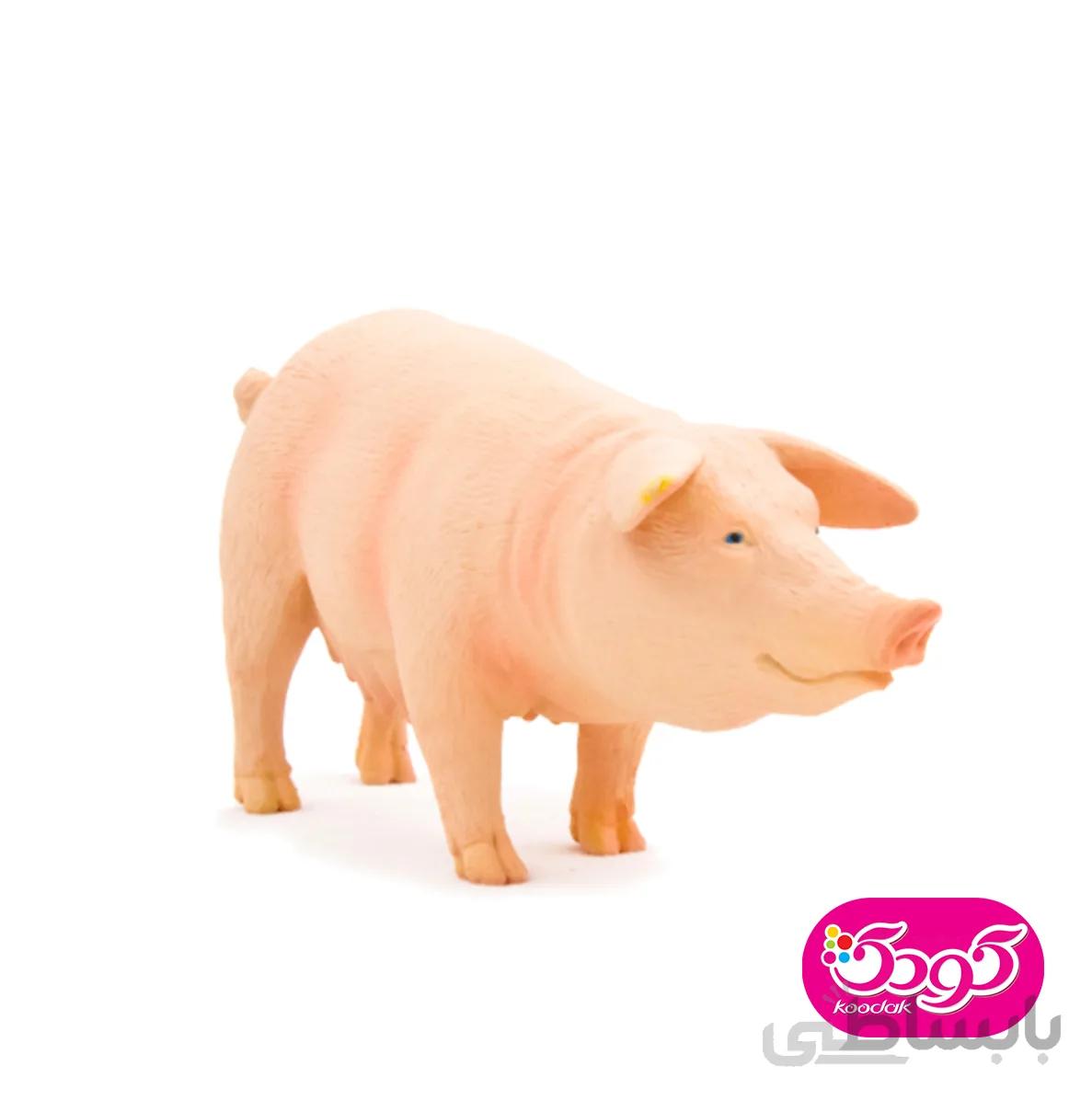 خوک شلخته 387054 – حیوانات موجو