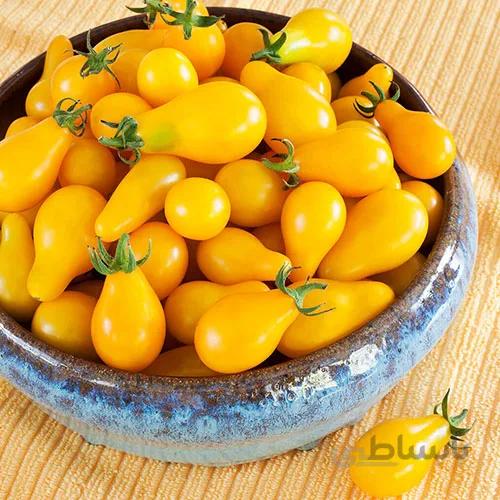 بذر گوجه گلابی زرد