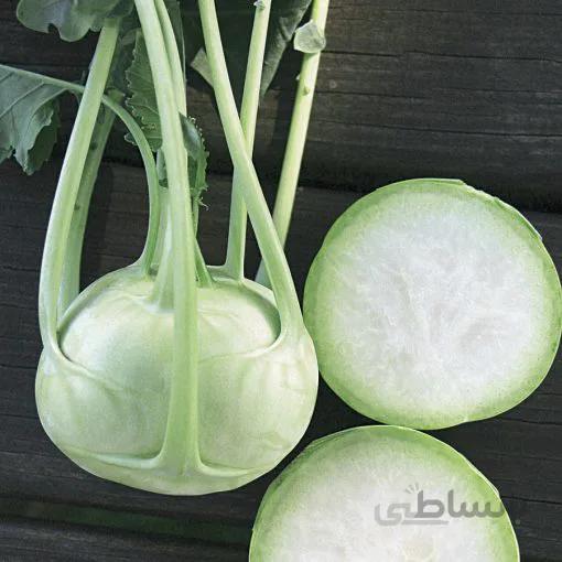 بذر کلم قمری سبز بسته ۱۰۰ عددی
