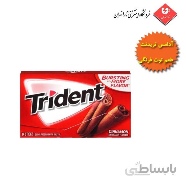 آدامس تریدنت طعم دارچین بسته 14 عددی