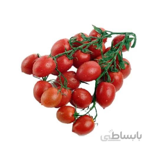 بذر گوجه چری زیتونی قرمز