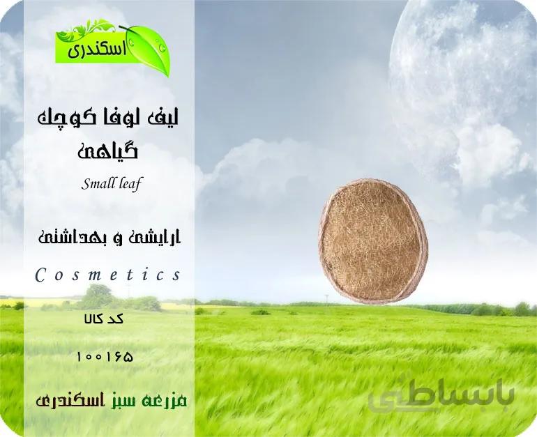 لیف کوچک گیاهی