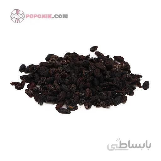 زغال اخته بی هسته