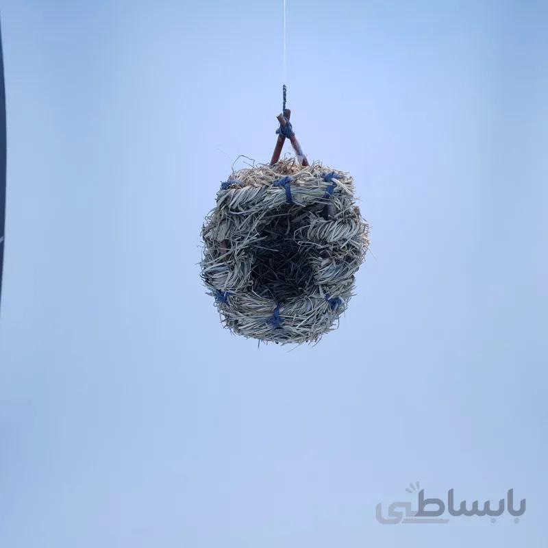 لانه جنگلی پرنده