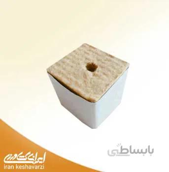 راگوول پشم سنگ 4 در 4 مخصوص کشت بدون خاک