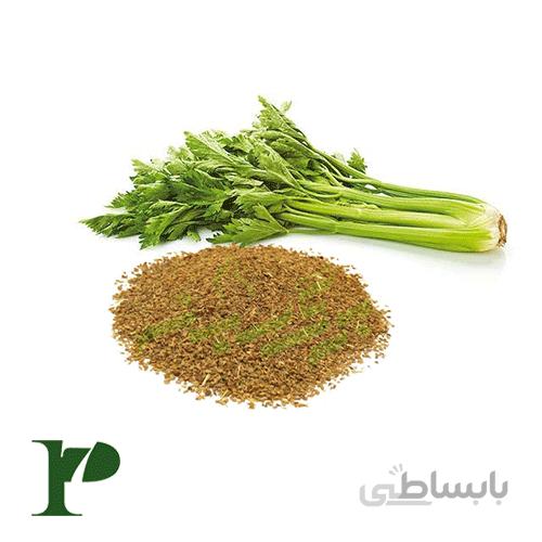 بذر کرفس بستهی 100 گرمی