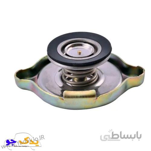 درب رادیاتور پیکان و آردی رویش