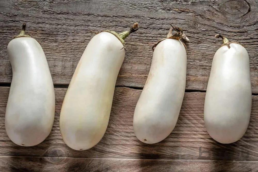 بذر بادمجان سفید کاسپر