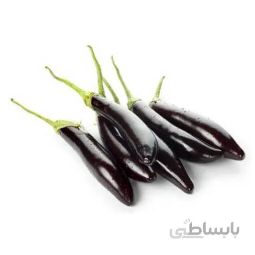 بذر بادمجان قلمی کد 360400
