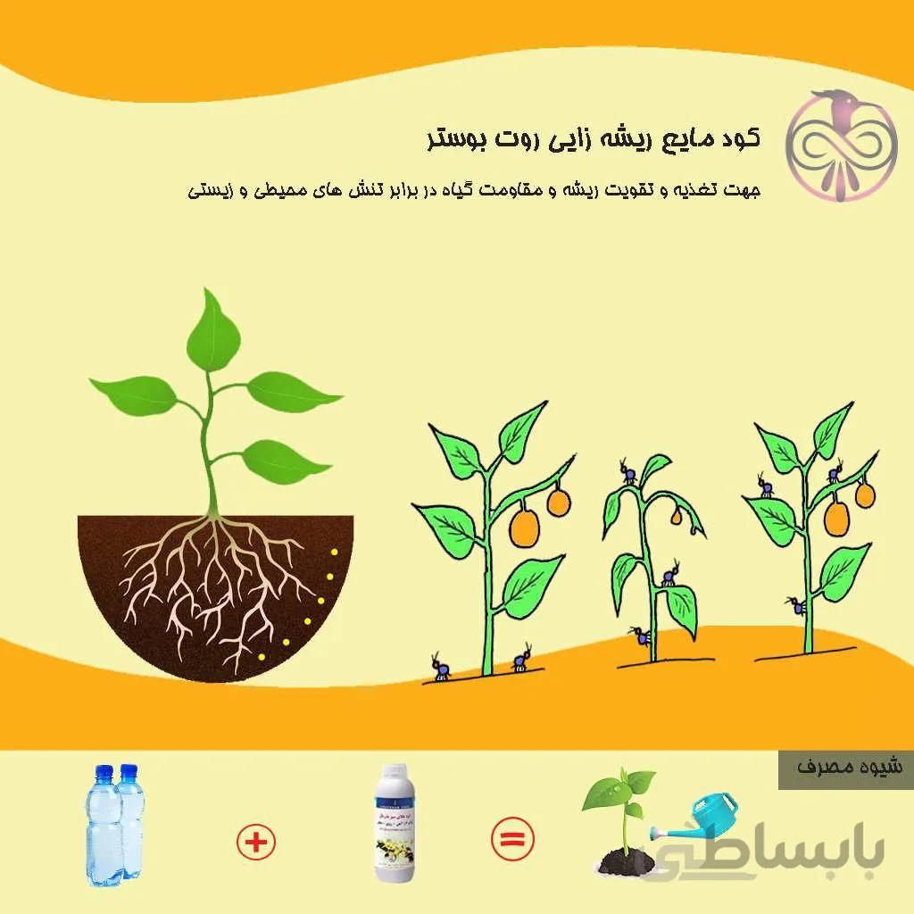 کود مایع ریشه زایی روت بوستر