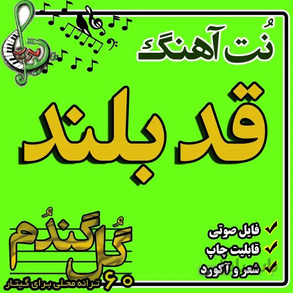 نت گیتار قد بلند