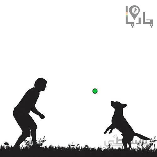 کلاس اطلاعات پایه در مورد سگ ها