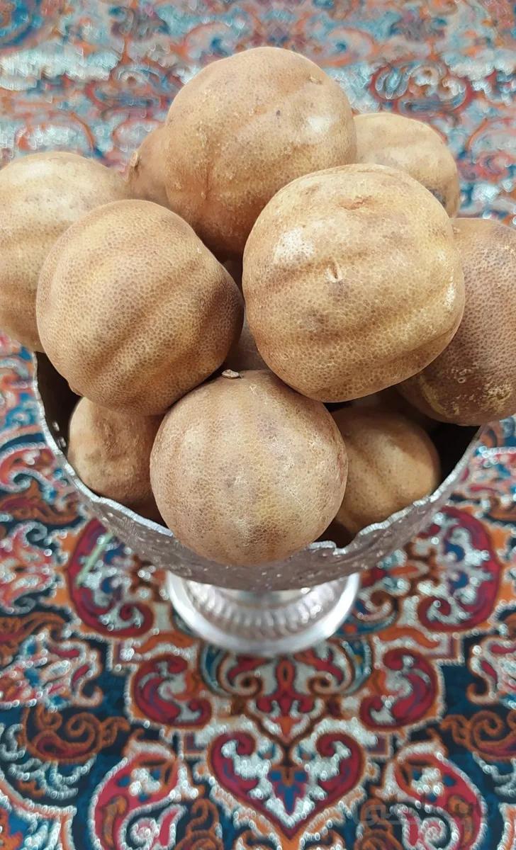 لیمو عمانی کد 441261