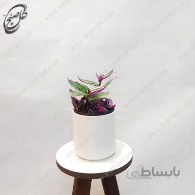 سفارش گل آنلاین – برگ بیدی صورتی طرح S-016