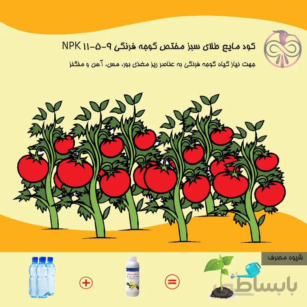 کود مایع طلای سبز مختص گوجه فرنگی