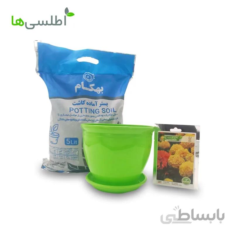 پکیج گل جعفری پاکوتاه گل درشت