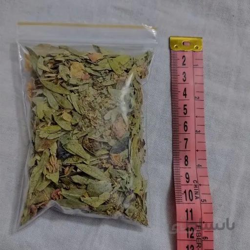 سنای مکی اصل عربستان