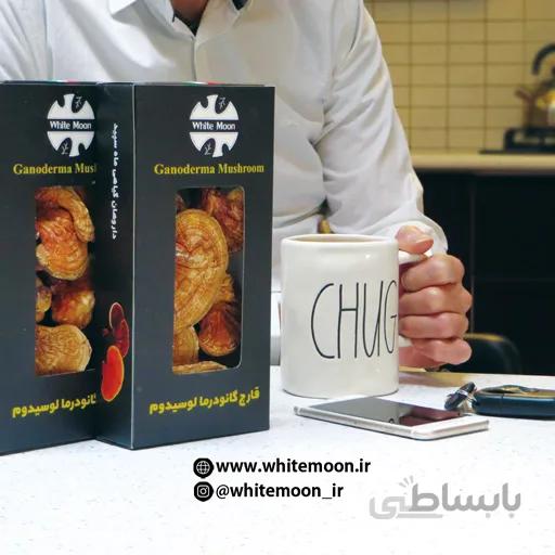بسته ۱۰۰ گرمی قارچ خالص پودر شده گانودرما
