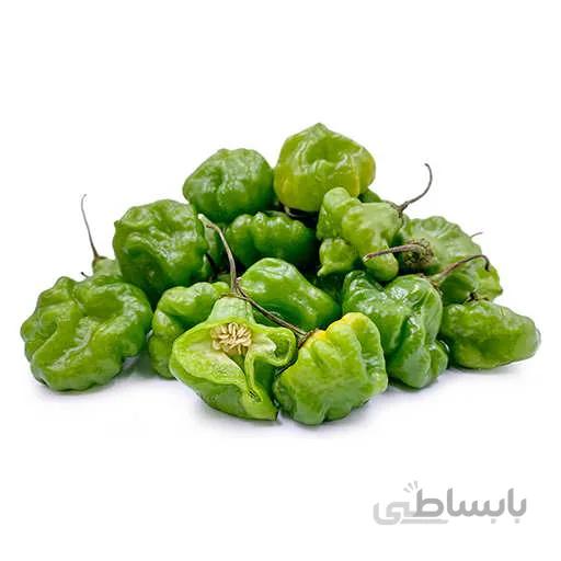 بذر فلفل اجی دو سی سبز