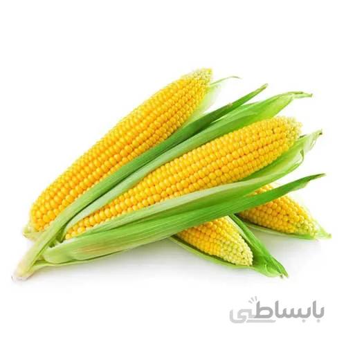 بذر ذرت علوفه ای (بلال)
