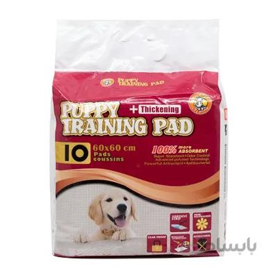 پد آموزشی ادرار Hush Pet مخصوص سگ بسته 10 عددی - ابعاد 60*60
