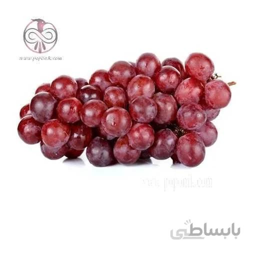 نهال انگور كندری