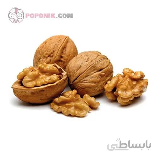 نهال گردو فرنته