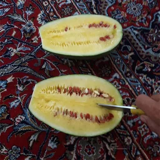 بذر هندوانه دیمی زرد
