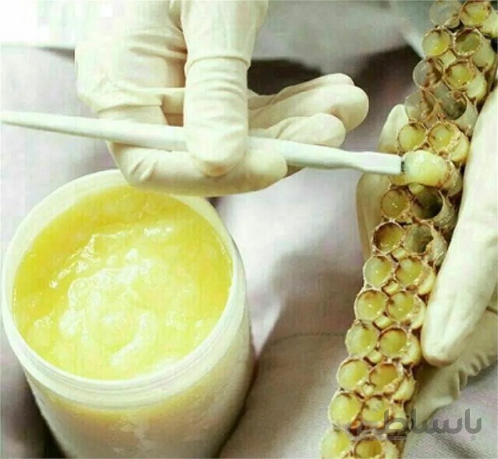 ژل رویال n کروموزوم دلربا بسته 500 گرمی ا Pack of 500 grams of royal jelly-n chromosome